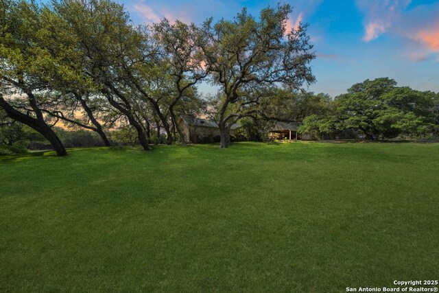 2802 State Highway 46, New Braunfels, TX 78132 - view of green lawn