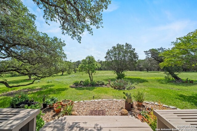 2802 State Highway 46, New Braunfels, TX 78132 - view of green lawn