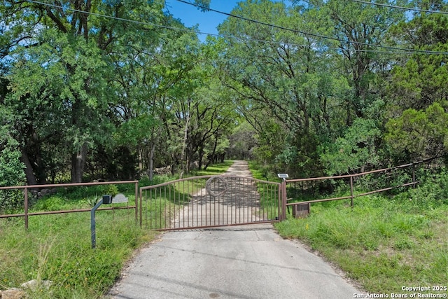 2802 State Highway 46, New Braunfels, TX 78132 - view of gate