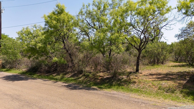 LOT655TBD Mistletoe Dr, Granite Shoals, TX 78654