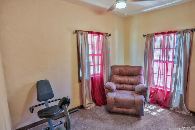 745 County Road 2645, Moore, TX 78057 - sitting room with ceiling fan, a wealth of natural light, and carpet