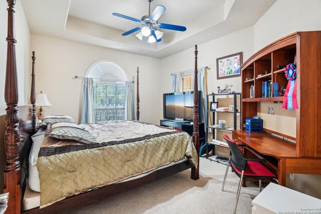 20646 Wahl, Garden Ridge, TX 78266 - bedroom featuring a tray ceiling, light carpet, a desk, and ceiling fan