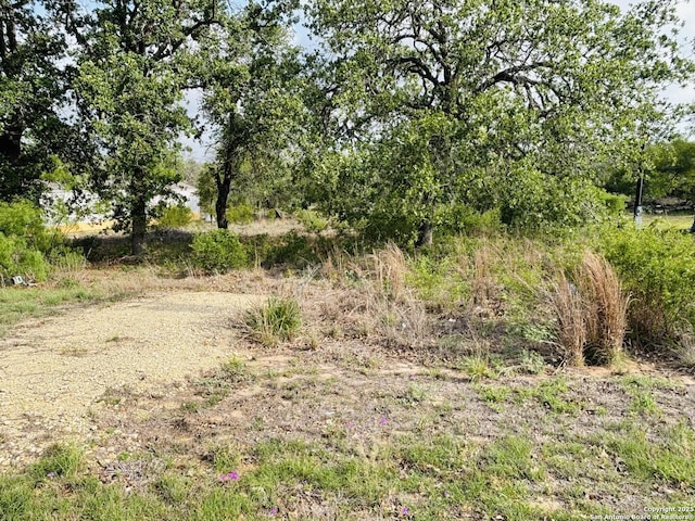 156 Sandy Ridge Dr, Poteet, TX 78065
