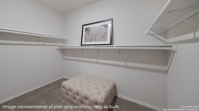 walk in closet with carpet