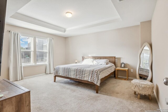 carpeted bedroom featuring baseboards and a raised ceiling