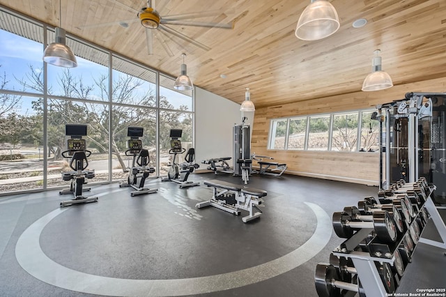 5680 Jasmine Spur, Bulverde, TX 78163 - workout area with wooden walls, floor to ceiling windows, and wood ceiling