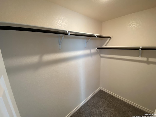 walk in closet with dark colored carpet