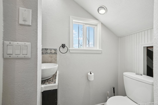 1923 W Pyron Ave, San Antonio, TX 78211 - bathroom with vanity, a textured wall, toilet, and vaulted ceiling