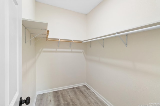 walk in closet with wood finished floors