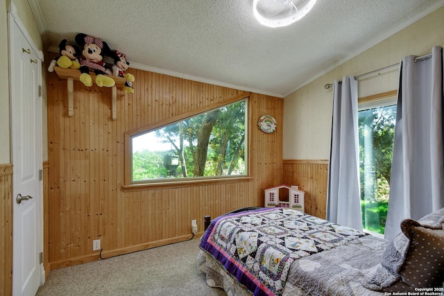 1340 Hinch, New Braunfels, TX 78132 - bedroom with wooden walls, vaulted ceiling, ornamental molding, a textured ceiling, and carpet flooring