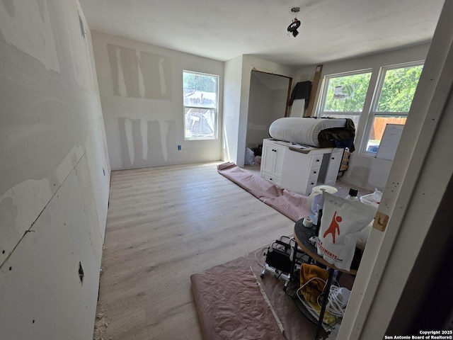 interior space with wood finished floors