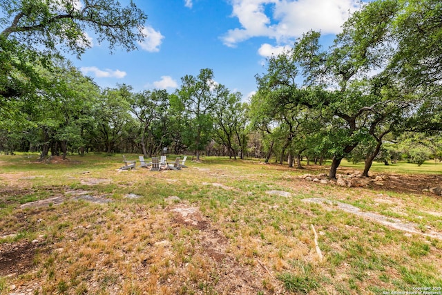 1191 Glenwood, Bulverde, TX 78163 - view of yard