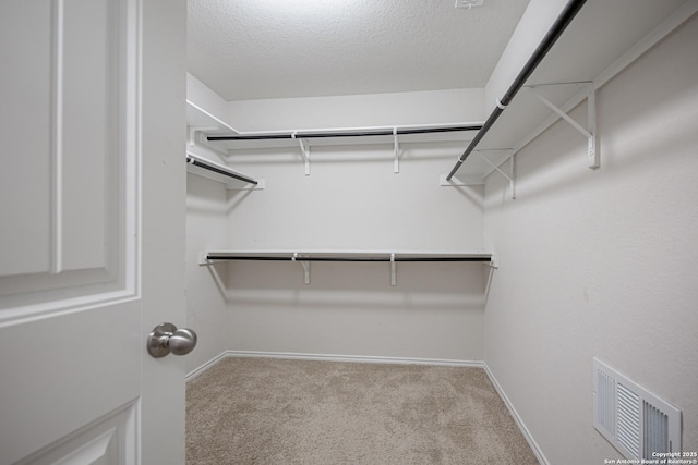 walk in closet featuring visible vents and carpet floors