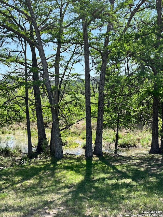 view of landscape