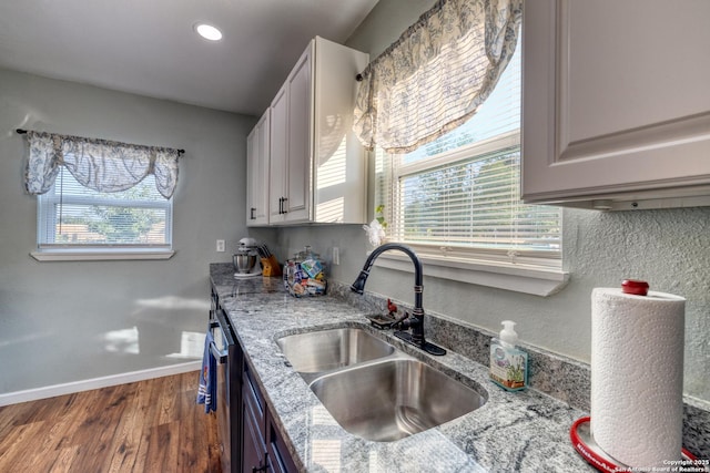kitchen featuring baseboards, wood finished floors, a sink, and plenty of natural light