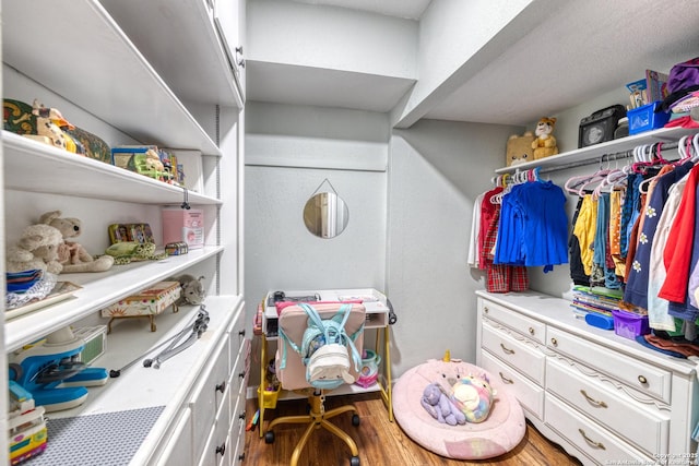 spacious closet featuring wood finished floors