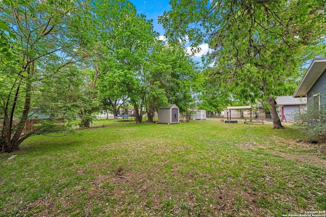 view of yard featuring an outdoor structure, a storage unit, and a fenced backyard