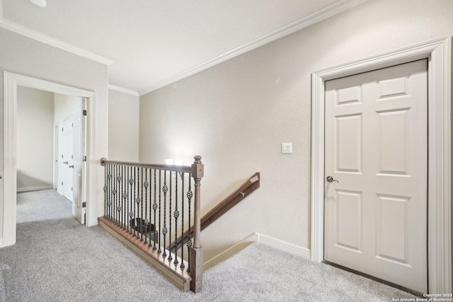 518 Ruidosa Downs, Helotes, TX 78023 - stairway with carpet flooring, baseboards, and ornamental molding