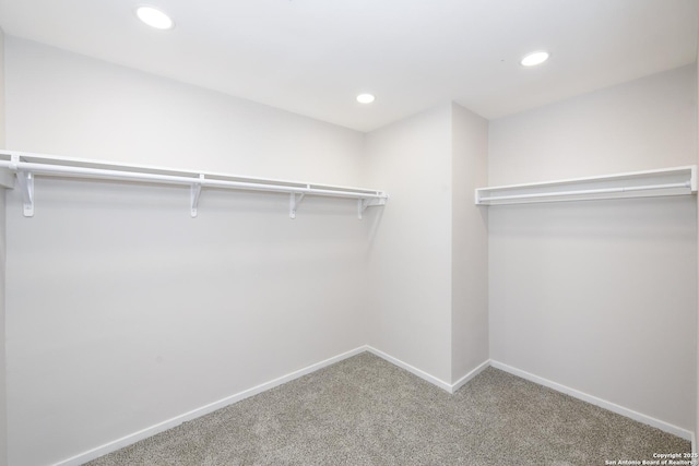 walk in closet with carpet