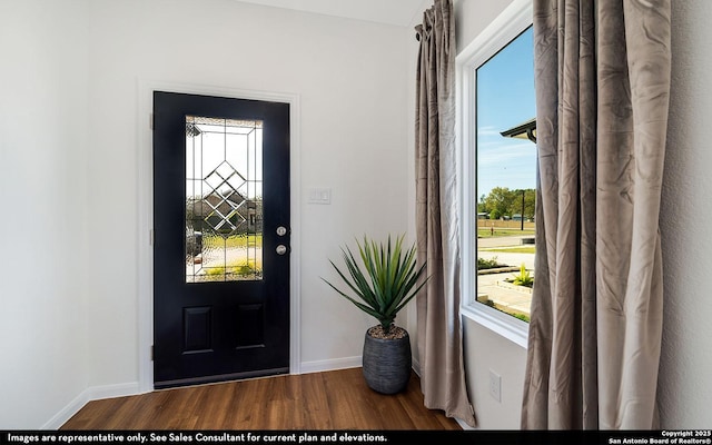 entryway featuring wood finished floors, baseboards, and plenty of natural light