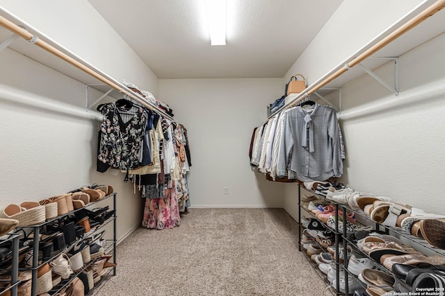 spacious closet with carpet flooring