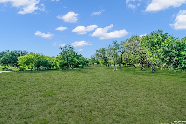 view of yard featuring a rural view
