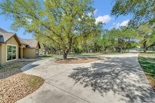 surrounding community with curved driveway