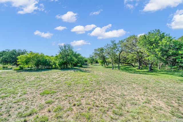 view of yard with a rural view