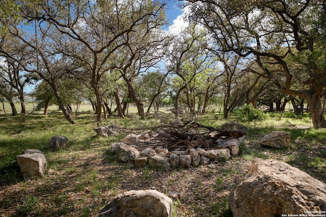 view of nature