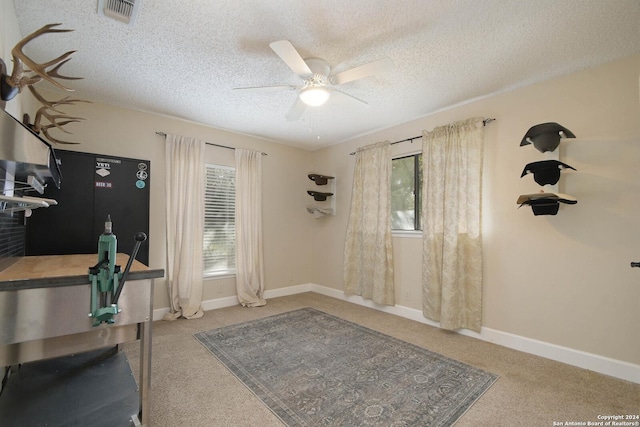 unfurnished office with plenty of natural light, carpet floors, and ceiling fan