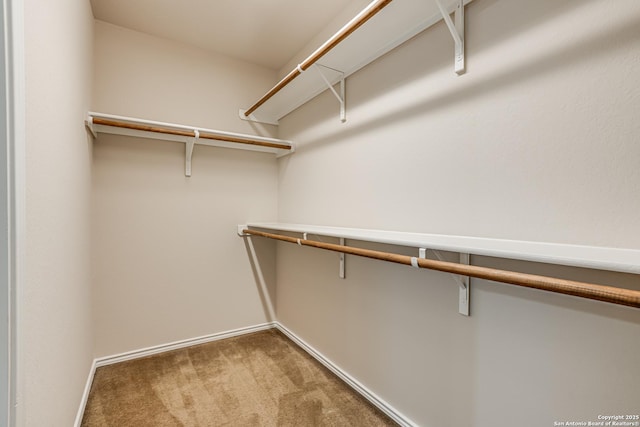 342 Perch Horizon, San Antonio, TX 78253 - spacious closet featuring carpet