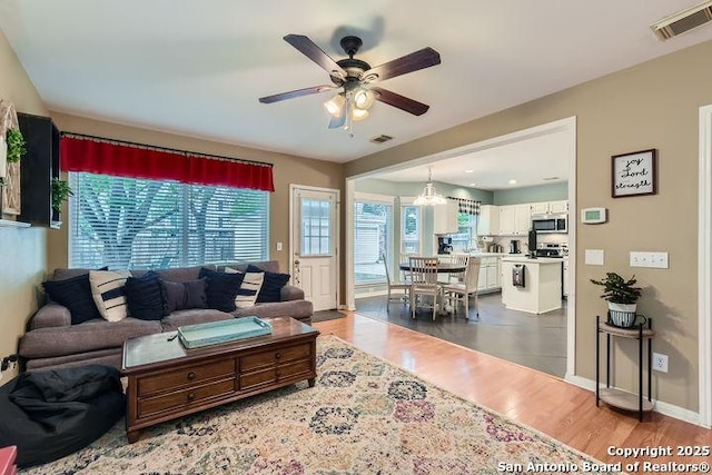 living area with visible vents, a wealth of natural light, ceiling fan with notable chandelier, and wood finished floors