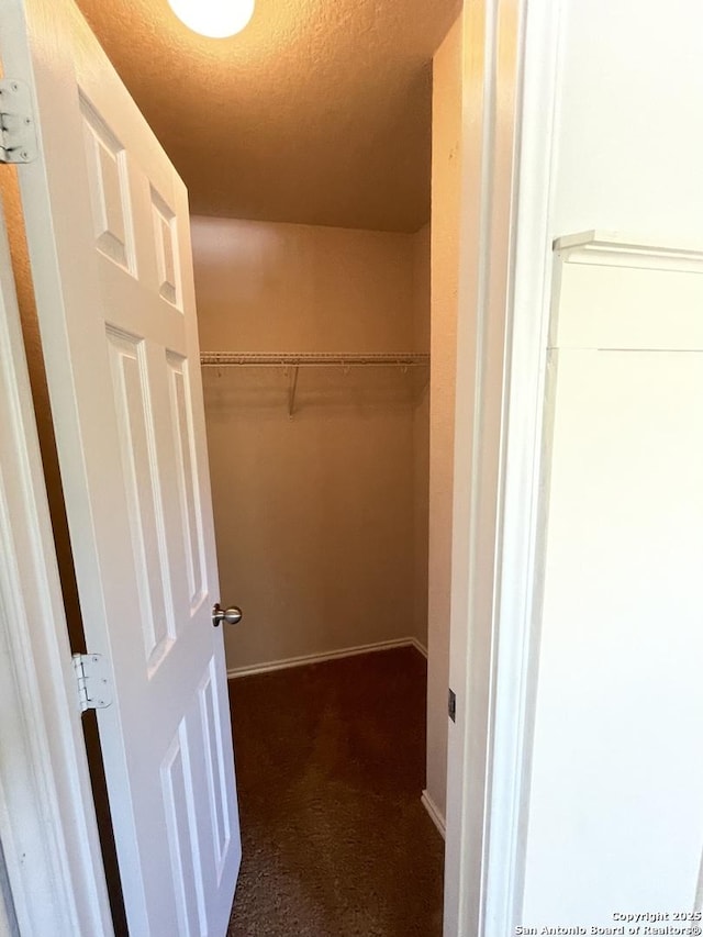 spacious closet with carpet floors
