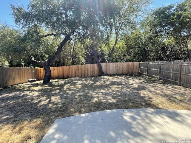 view of yard featuring a patio and a fenced backyard