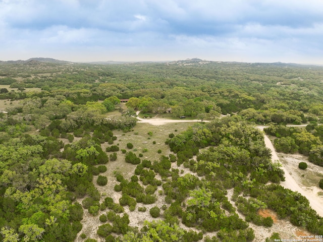 birds eye view of property with a forest view