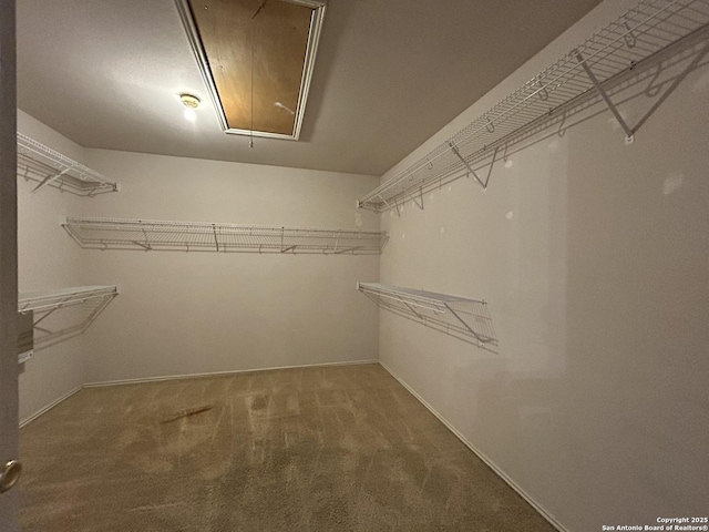 spacious closet featuring carpet flooring and attic access