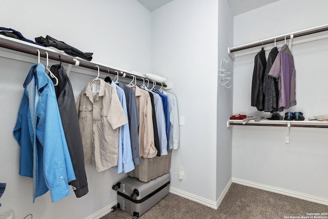 spacious closet with carpet flooring