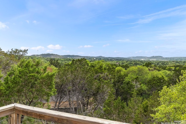 view of mountain feature with a wooded view