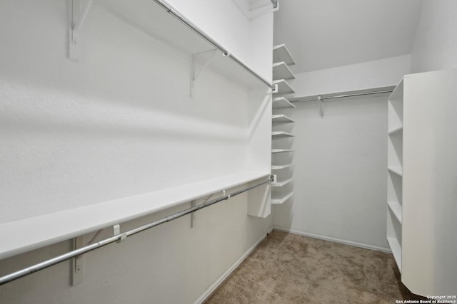 22010 Dolomite, San Antonio, TX 78259 - walk in closet featuring carpet flooring