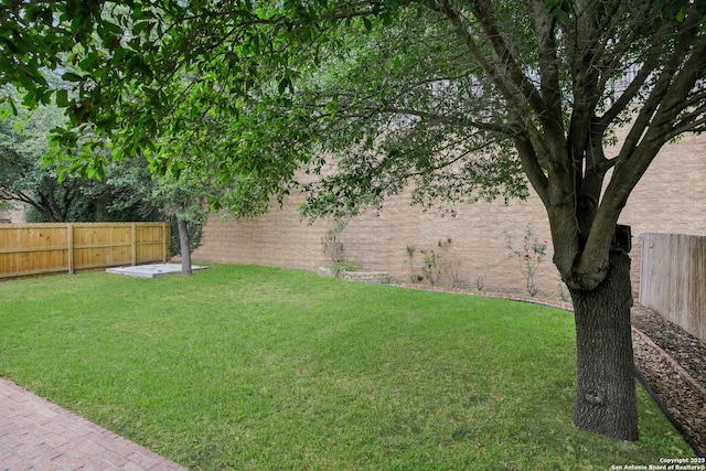 22010 Dolomite, San Antonio, TX 78259 - view of yard with a fenced backyard