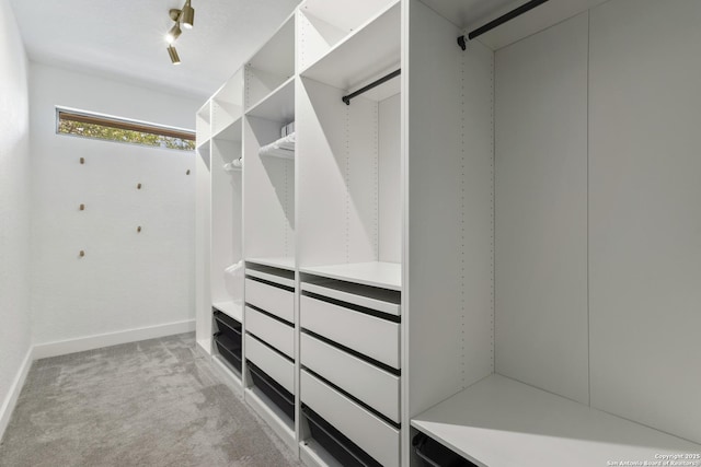 spacious closet featuring light colored carpet