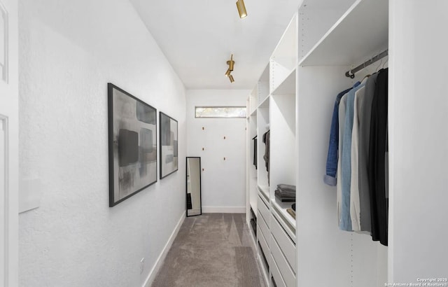 spacious closet with carpet flooring