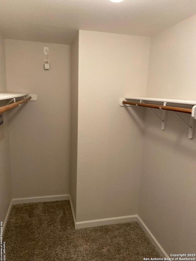 853 Satellite Vw, Round Rock, TX 78665 - spacious closet with carpet flooring