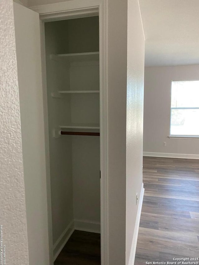 853 Satellite Vw, Round Rock, TX 78665 - view of closet