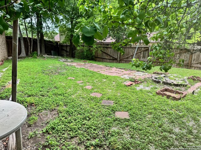 7900 Misty Frst, San Antonio, TX 78239 - view of yard with a fenced backyard