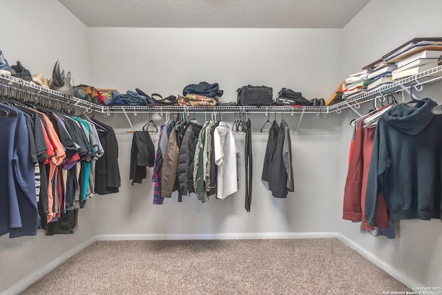spacious closet featuring carpet floors