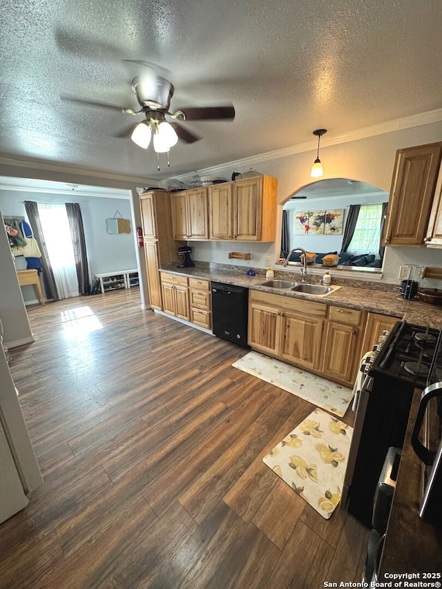 kitchen with ornamental molding, a sink, black appliances, and a wealth of natural light