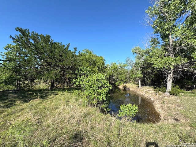 view of landscape