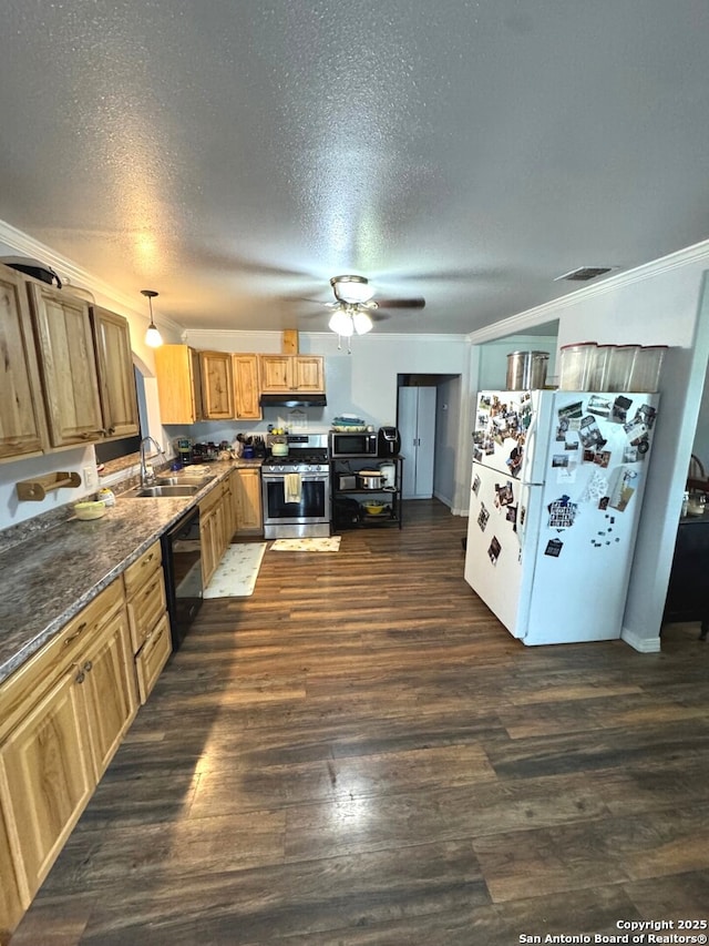 kitchen featuring a ceiling fan, a textured ceiling, appliances with stainless steel finishes, a sink, and ornamental molding