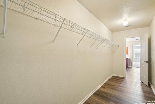 spacious closet featuring visible vents and dark wood finished floors